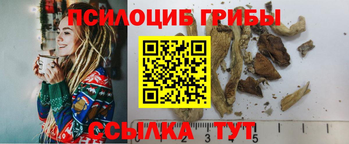 Галлюциногенные грибы Magic Shrooms Северобайкальск