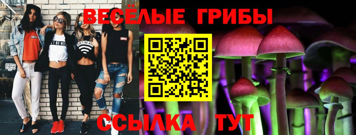 Северобайкальск  Псилоцибиновые грибы прущие грибы  сколько стоит  Вход с VPN 